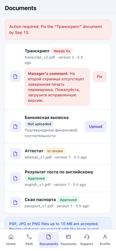 Documents in the client portal: review statuses and the manager's comment